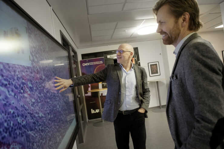 Two researchers discuss a digital image of tissue.