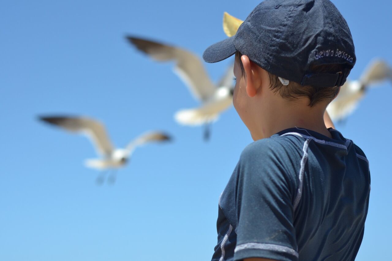 Boy with cap. Birds in the background.