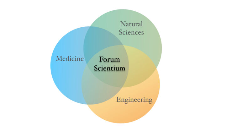 Graph showing Forum Scientium.