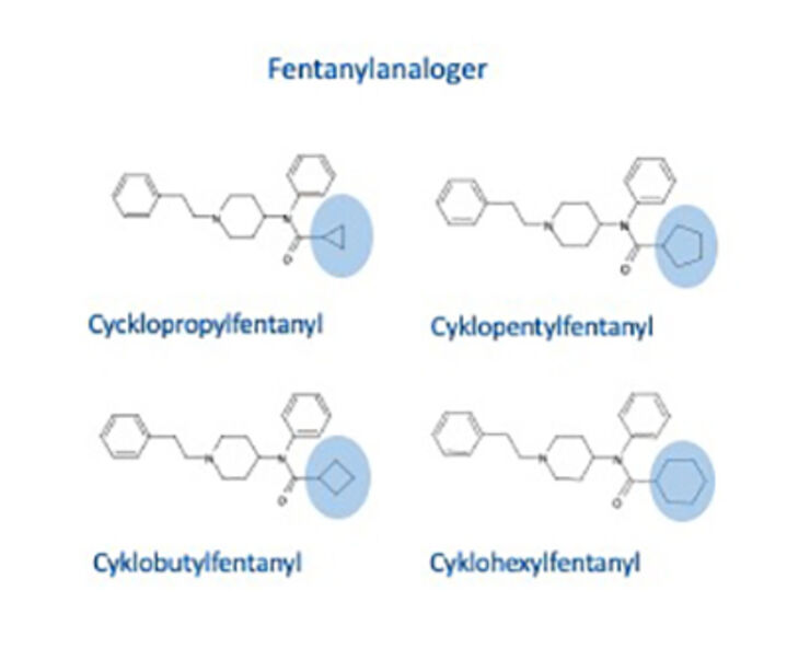 Kemisk struktur hos fyra olika fentanylanaloger.