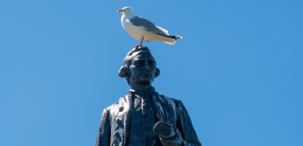 Grön staty av Thomas Cook mot blå himmel. En fiskmås sitter på statyns huvud. Statyns axel täcks av fågelbajs.