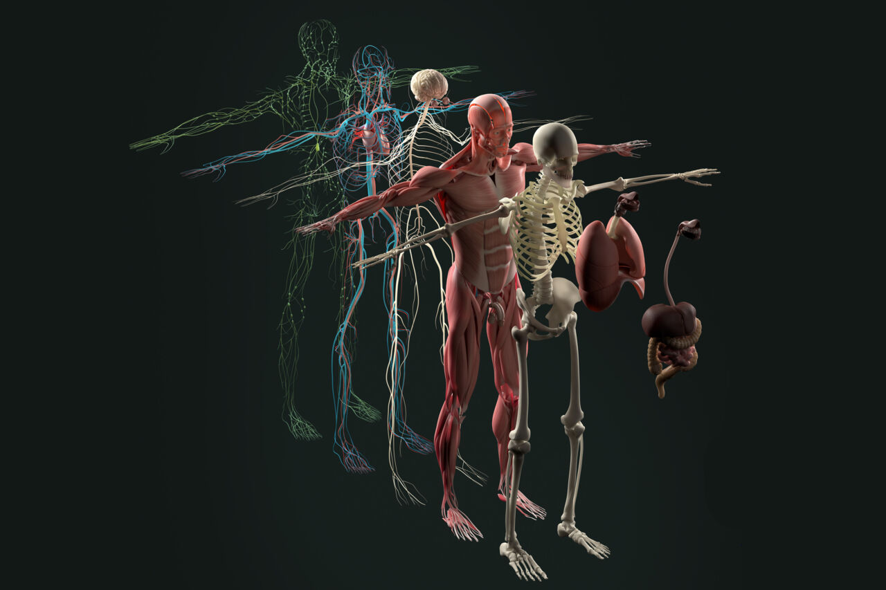 Svart bakgrund. Flera olika 