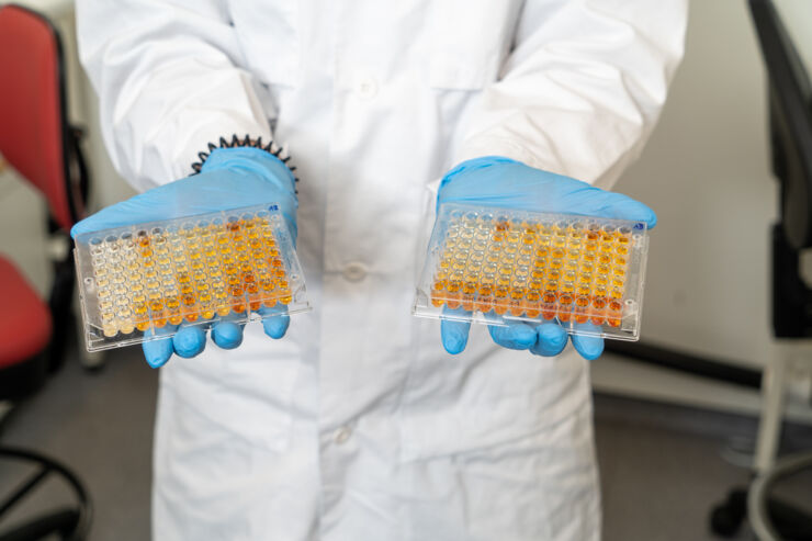 Plates with 96 wells filled with fluid of different shades of orange.