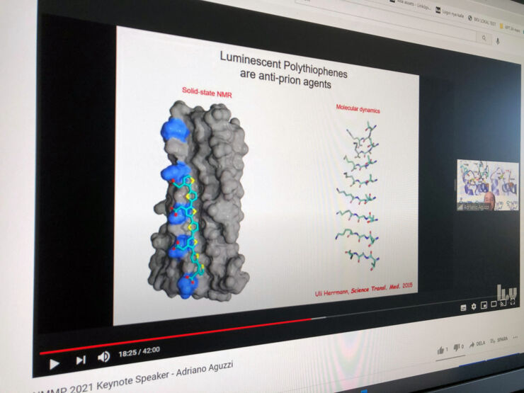 Bild på livestreamningen på Youtube av professor Adriano Aguzzis föreläsning under NMMP 2021.