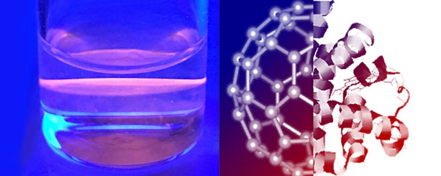 Fluorescent protein film under UV-light.