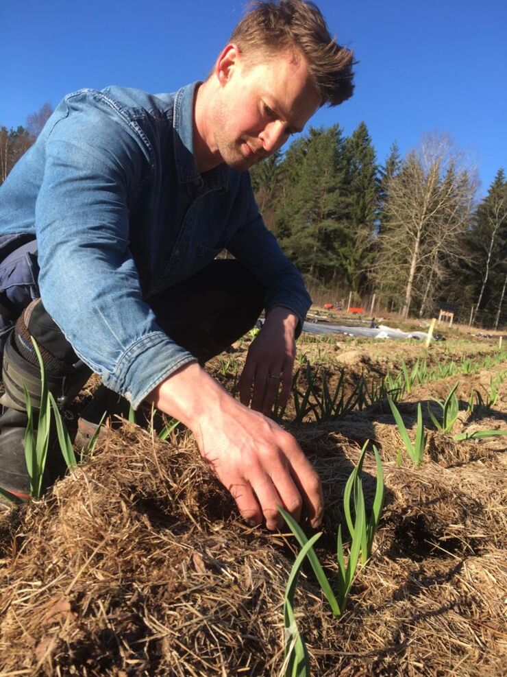 Alexander Olsson i sitt trädgårdsland.