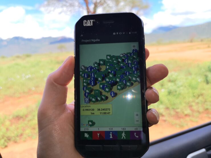 Mobiltelefon med app för att spåra djur.