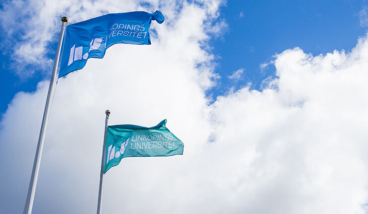 Två LiU-flaggor mot en blå himmel.