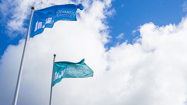 Two LiU-flags with a blue sky as background. 