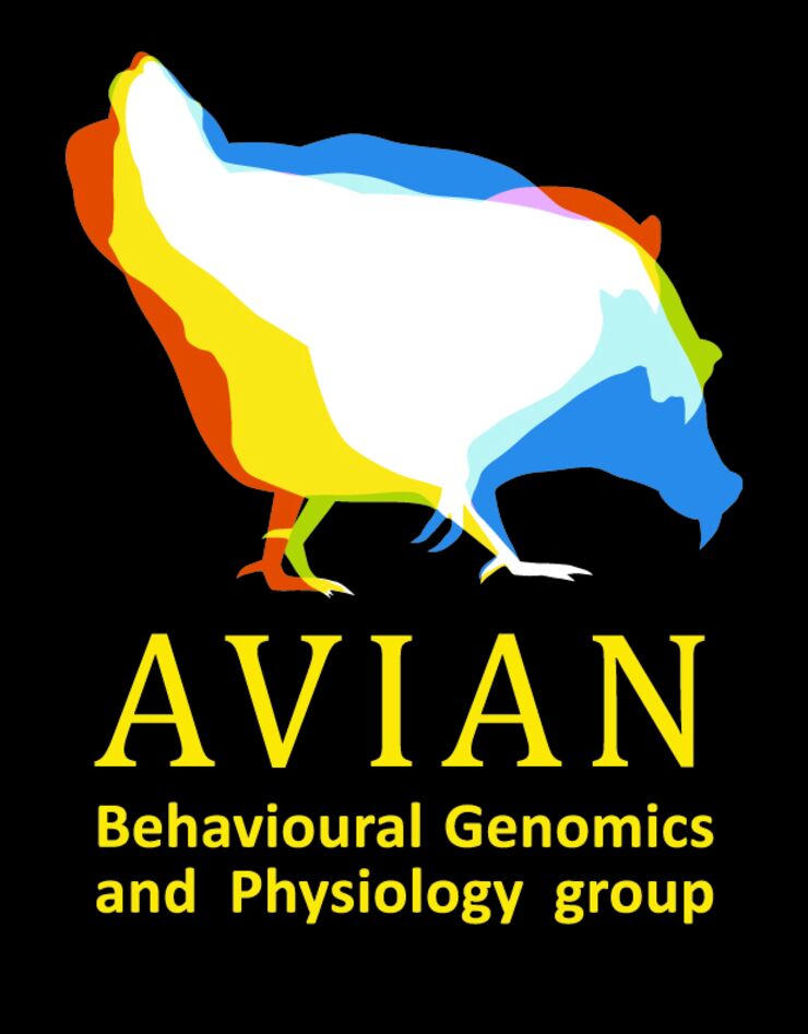 Logotype AVIAN.