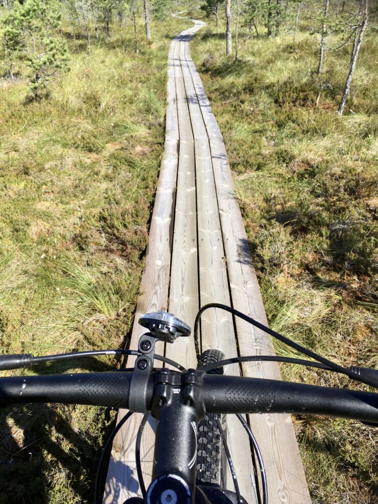 Bild tagen uppifrån en mountainbike-cykel med en bana framför Sara som tagit bilden.