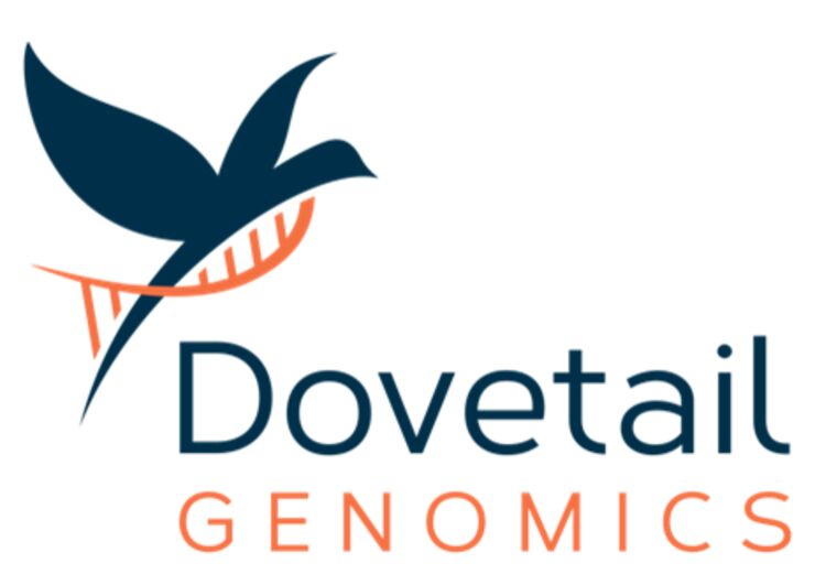Dovetail Genomics logotype.