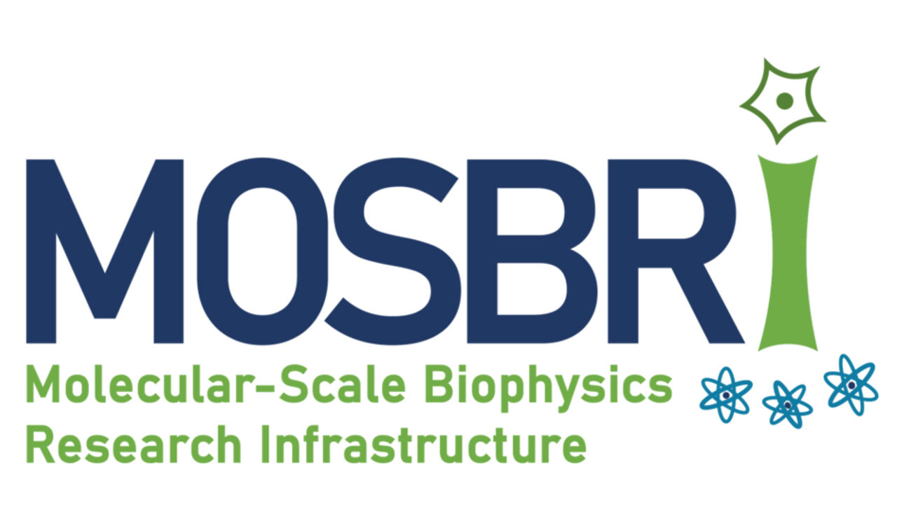 mosbri logotype.