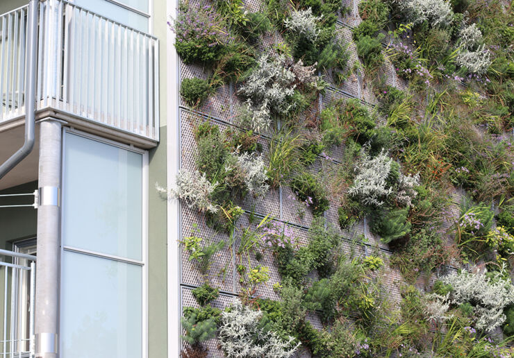 Wall of plants, student housing Colonia