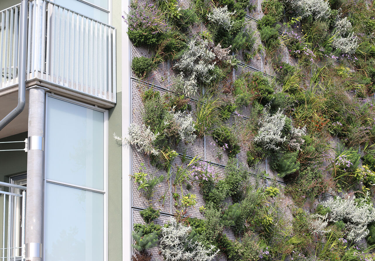 Växtvägg, bostadshuset Colonia