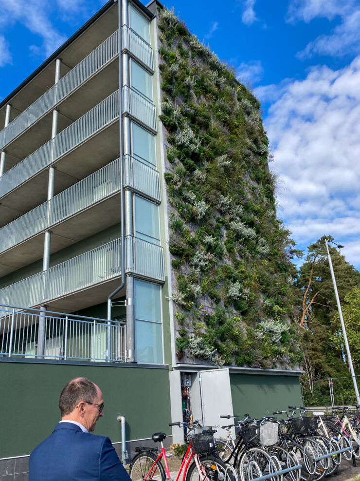 Green wall on Colonia. 