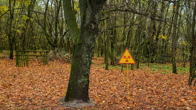 Radioaktiv hotspot markerad med en varningsskylt, Tjernobyl, Ukraina.