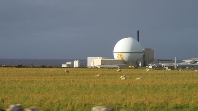 Dounreay kärnkraftsanläggning i norra Skottland. I förgrunden får som betar, i bakgrunden Nordsjön.