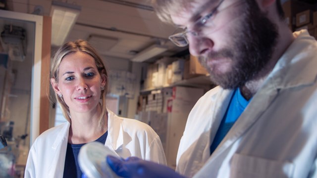 Bild på kvinnlig forskare som handleder en manlig post doc i laboratoriet.