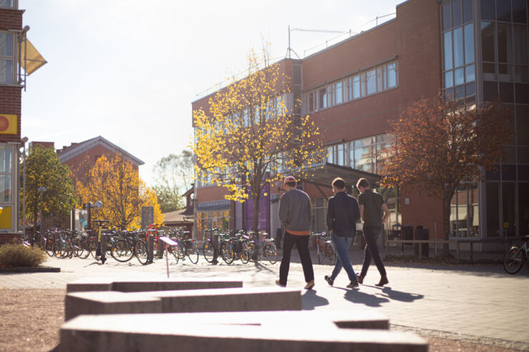 Tre studenter som promenerar på Campus Valla