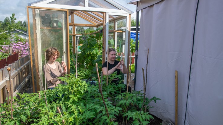researchers taking water samples on an allotment.
