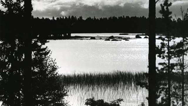 Black and white photo on a glimmering lake with trees in front of it.