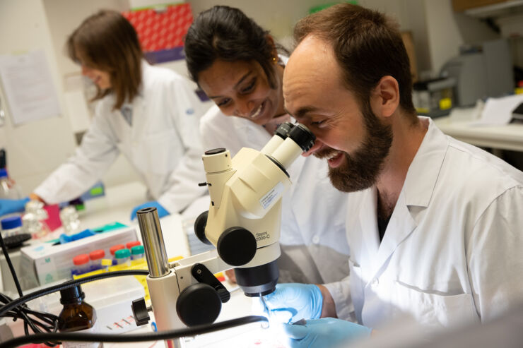 Pierfrancesco Pagella, postdoctoral fellow, works in the lab with Pritha Guha Mojumder (center) and Valeria Ghezzi (left).