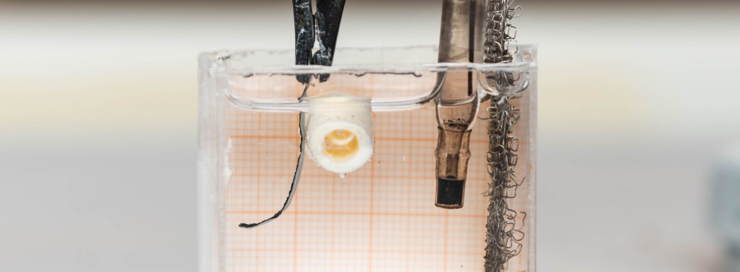 Materialkombinationen och ett kycklingben i en behållare fylld med vätska-