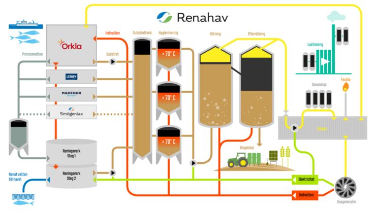 Grafik över den Renahavs industriella symbios. Från Renahavs hemsida.