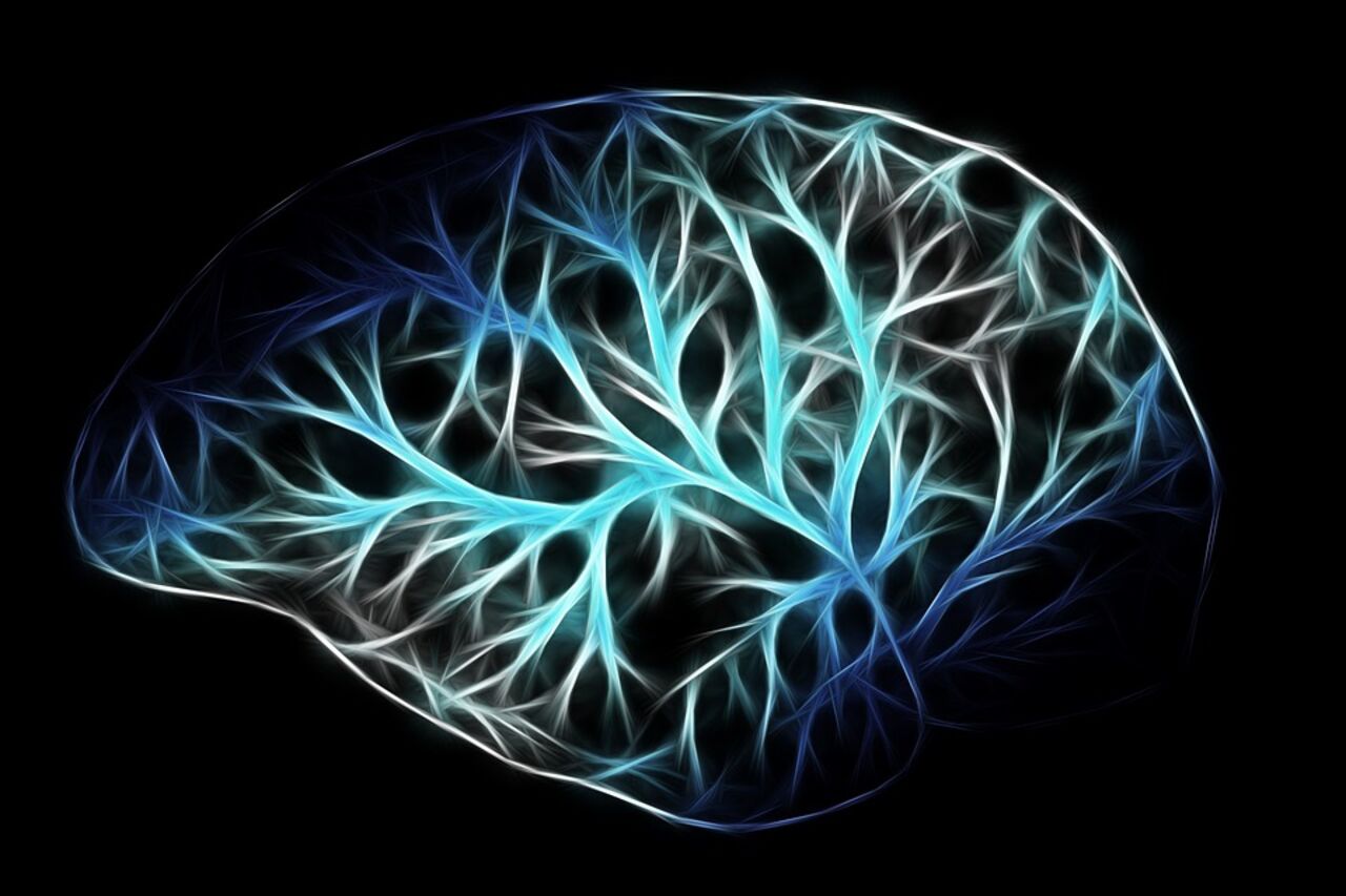Photo of a brain on a black background.