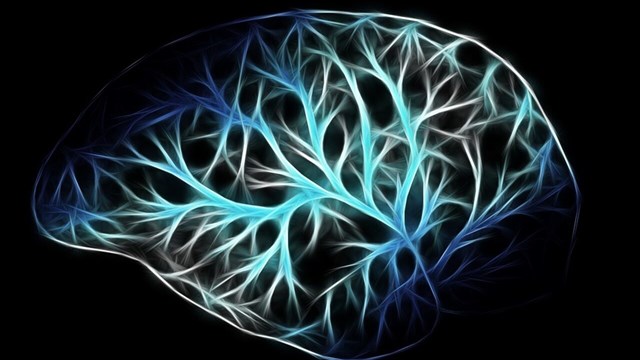 Bild på de elektroniska signalerna i hjärnan. Bakgrunden är svart.