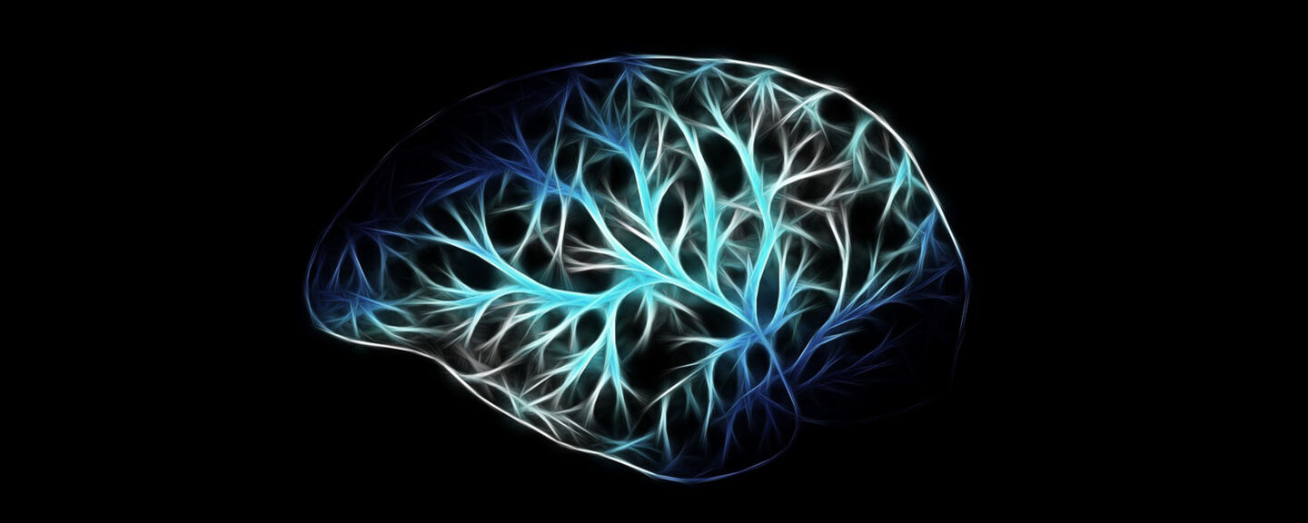 Photo of a brain on a black background.