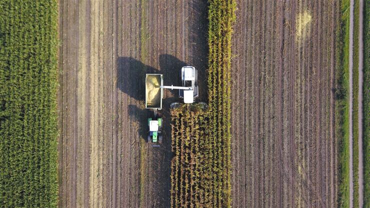 Tractor harvests energy crops for biogas production.