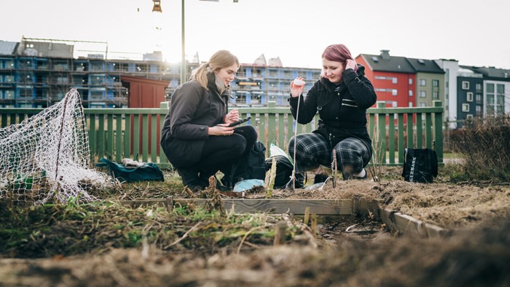 Two young women collecting samples in a urban garden in front of city houses.