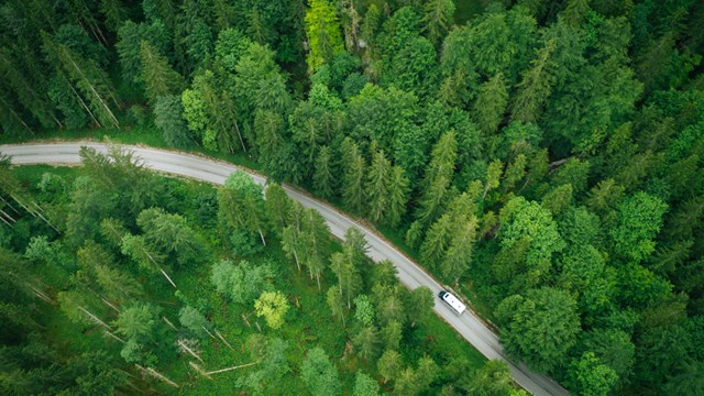 Mountainous road and lush forest