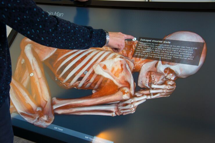 A person using a big touch screen to get a visualization of a skeleton
