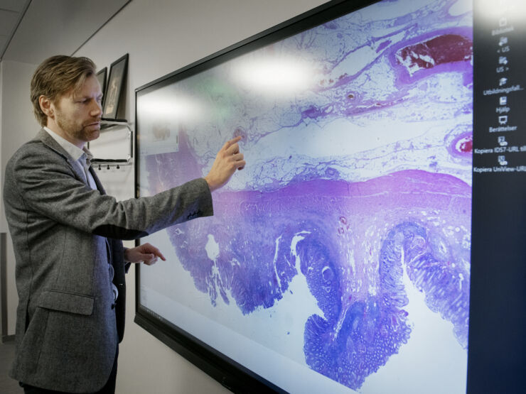 man pointing at a digital histology image on a big screen.