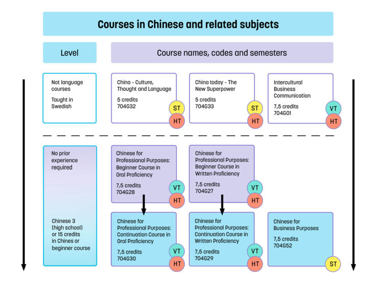 Diagram of all our single subject courses in Chinese language and courses related to China.