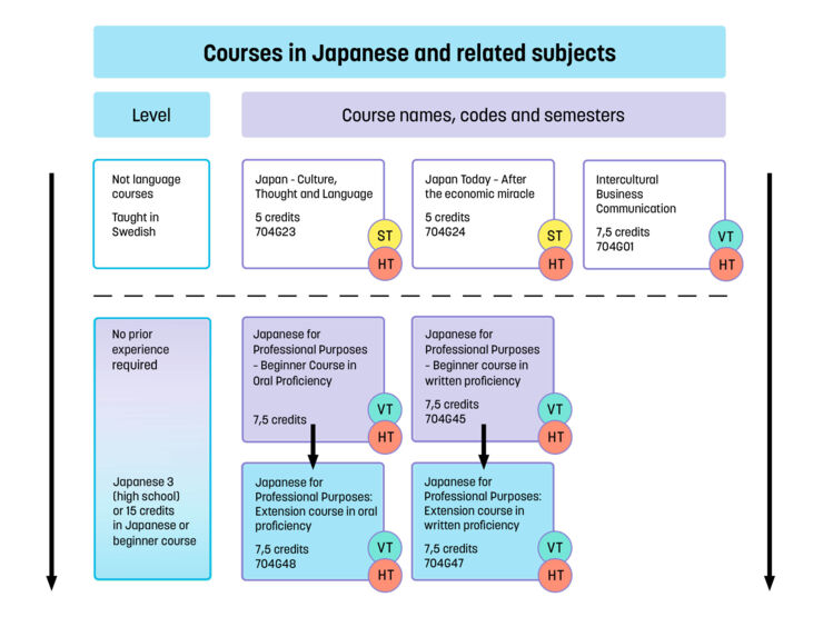Diagram of all our single subject courses in Japanese language and courses related to Japan. 
