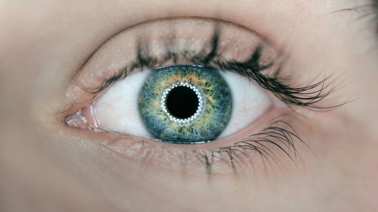 Närbild på ett öga. Personens ögonfärg är blågrön.