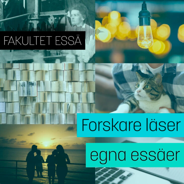 Artwork för säsong två av Fakultet Essä.