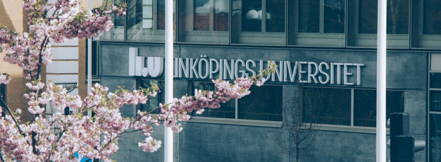 Skylt "Linköpings universitet" på hus med rosa blommor framför.