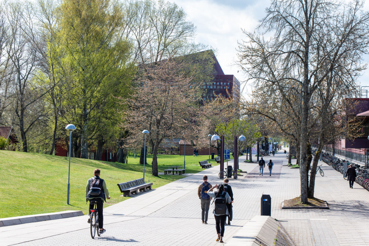 Corson, Campus Valla, mot Studenthuset under tidig vår.