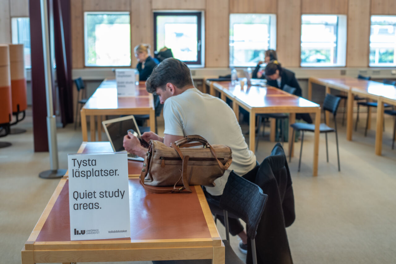 Students in reading room.