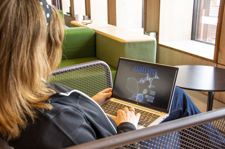 A woman seated in an armchair and using a laptop.