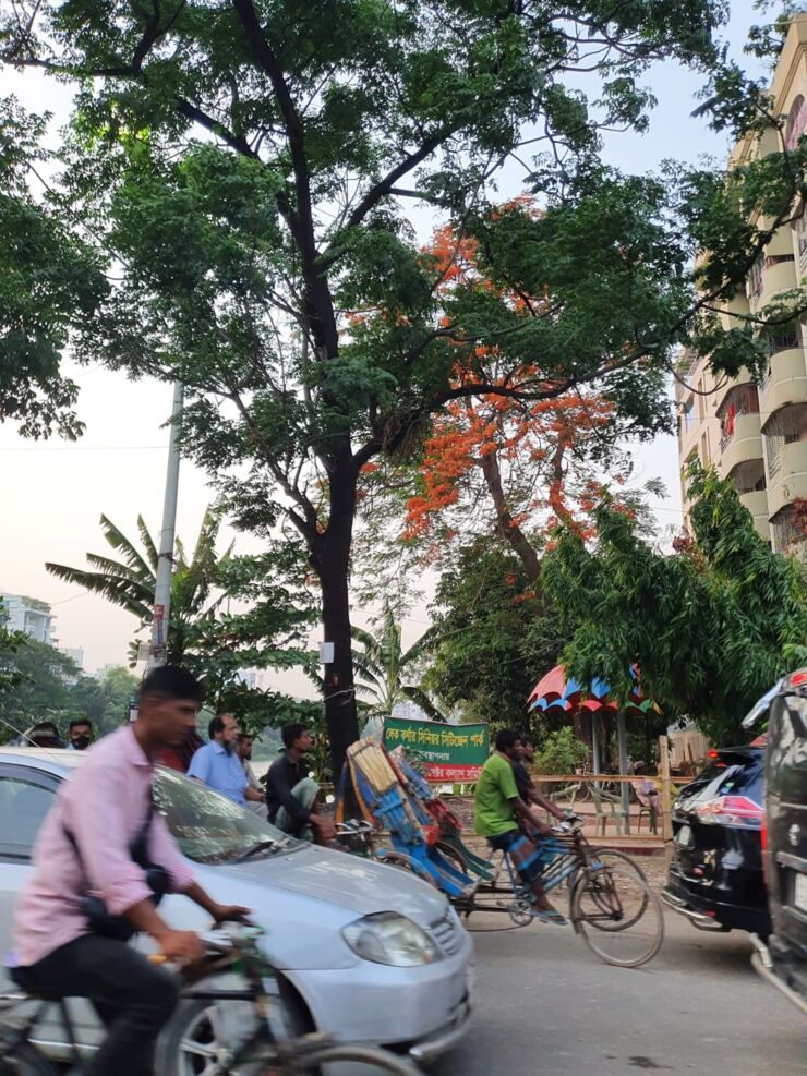 Gatuliv i Dhaka