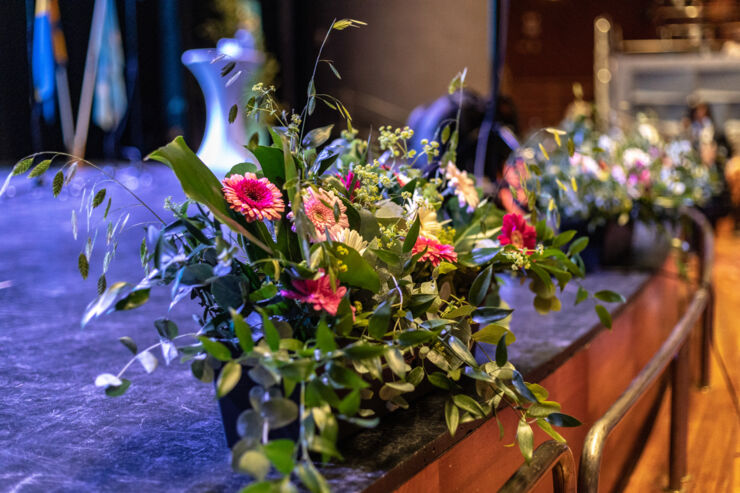 Multi-coloured flowers at a stage.