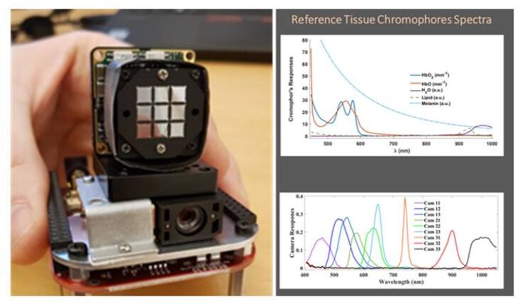 Graphics and a photo showing the results from the research.