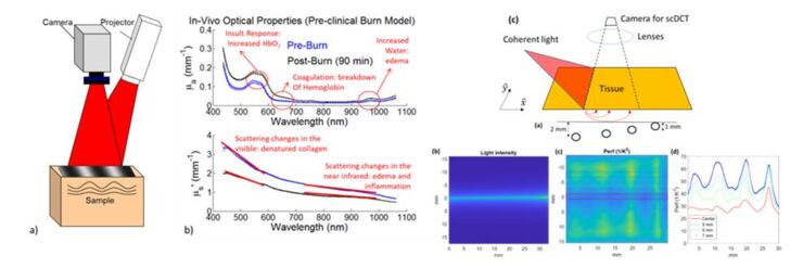 Graphics showing the results from the research.