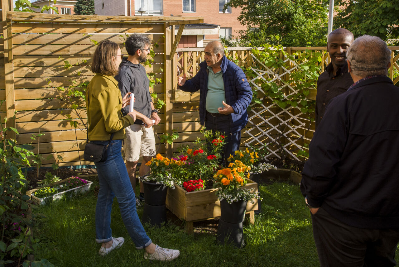 Lively discussions at the urban gardening workshop at Hageby.